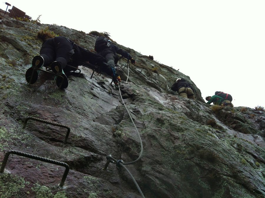 First vertical steps 