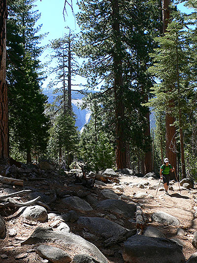 Hiking up through the forest 