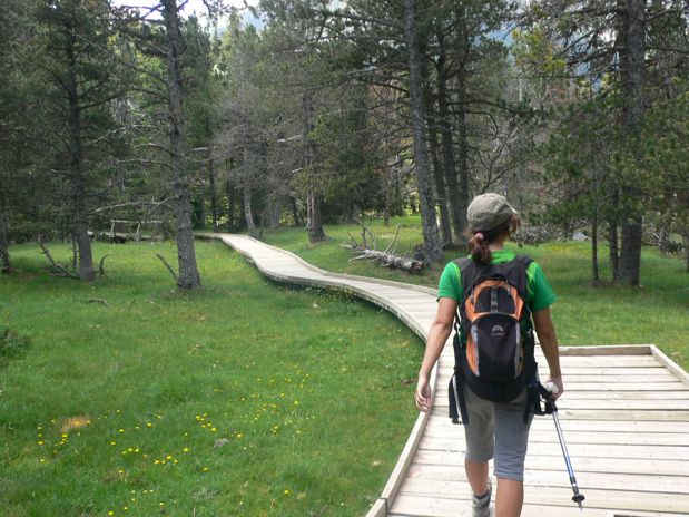 La pasarela entra en el bosque haciendo una vuelta circular 