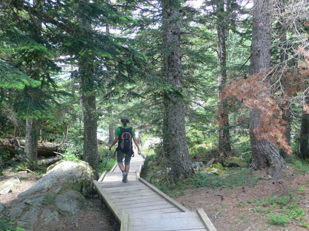 Al final la pasarela desciende por unos escalones - aquí finaliza la parte accesible -  