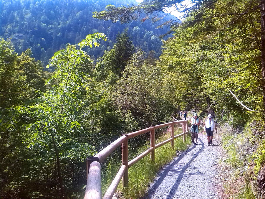 Camino protegido con barandillas que sube hacia el Plan dera Artiga de Lin 