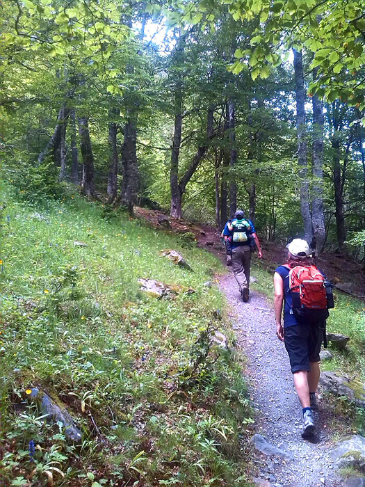 De camino al Salto del Pomèro 