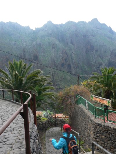 Camino empedrado que baja al barranco desde Masca 