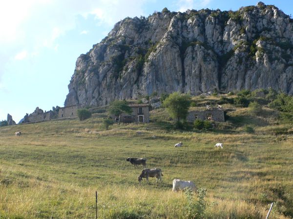 Peguera 