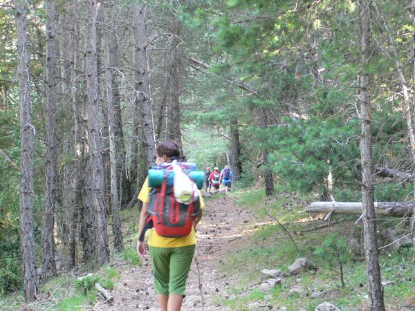 En el bosque previo a la subida al Ferrús 