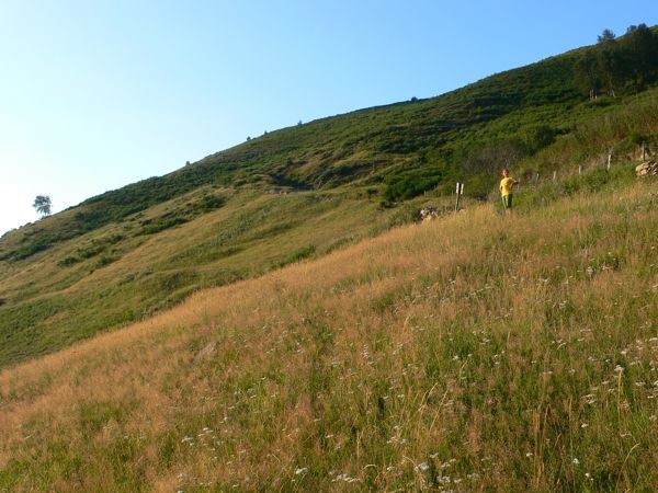 Campos al atardecer junto a las Bordes de Coual 