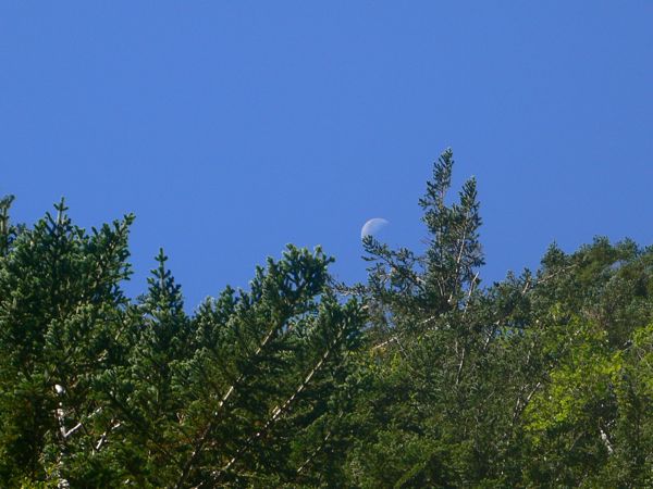 Detalle Luna 