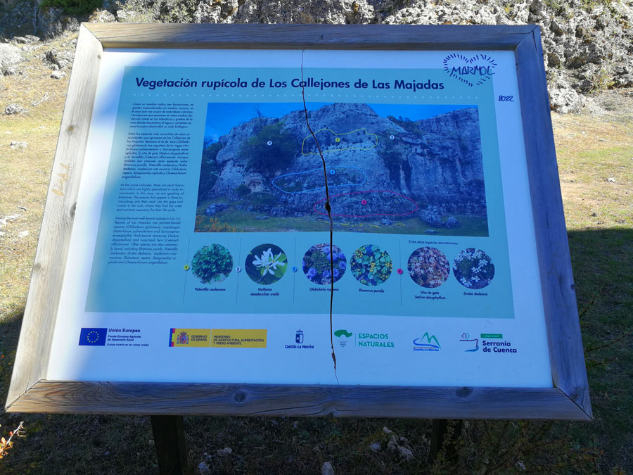 Panel informativo de la vegetación rupícola de Los Callejones 