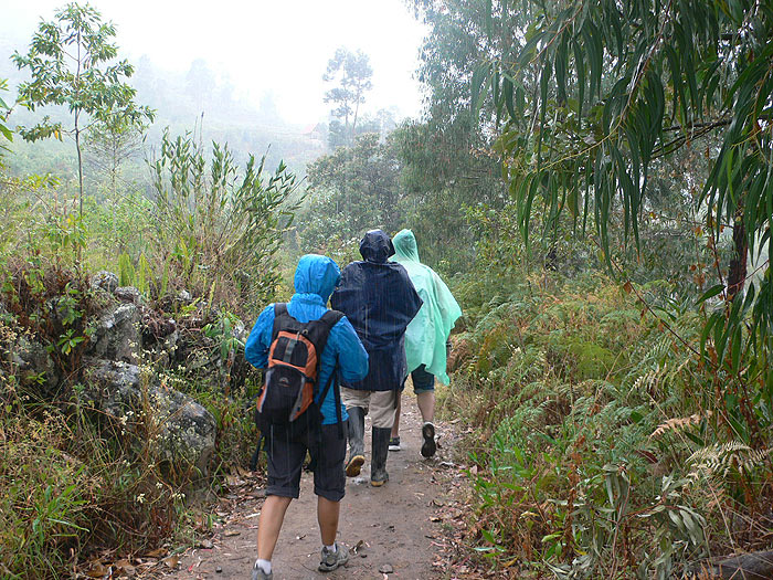 Empieza a llover -algo habitual en esta región 