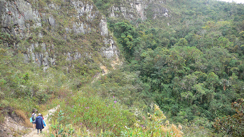 Entramos a una zona de selva alta 