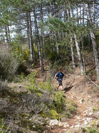 Bajando por el bosque en busca del barranco de Chimiachas 