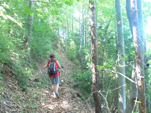 Subiendo por el hayedo junto a los riscos 