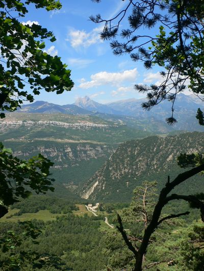 Claro de bosque que nos permite disfrutar de grandes vistas 