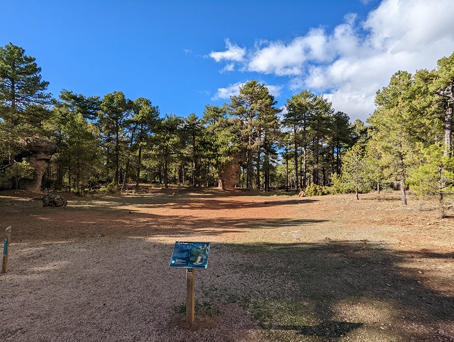 En la plaza donde se encuentra la Cara de Hombre 