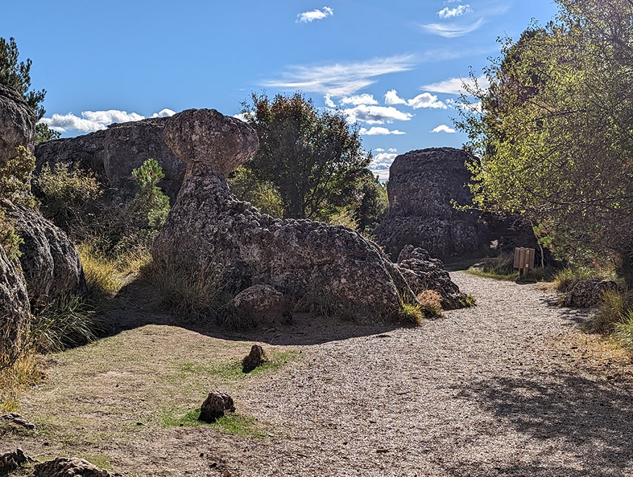 Formación de la Foca 