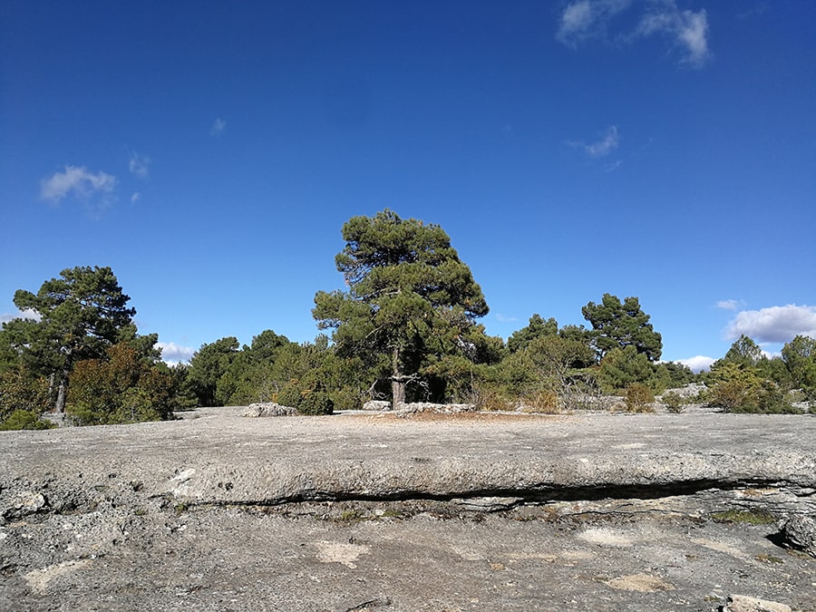 Vista extensa del Mar de Piedra 