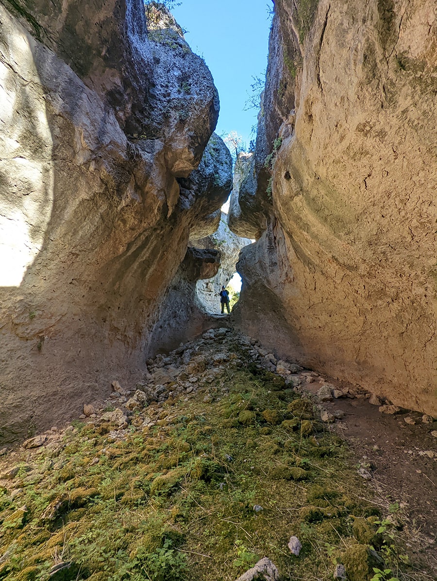 Vista de la piscina desde fuera 