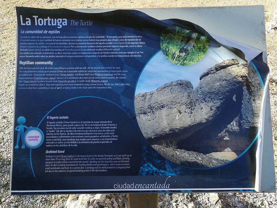 Cartel informativo de La Tortuga 