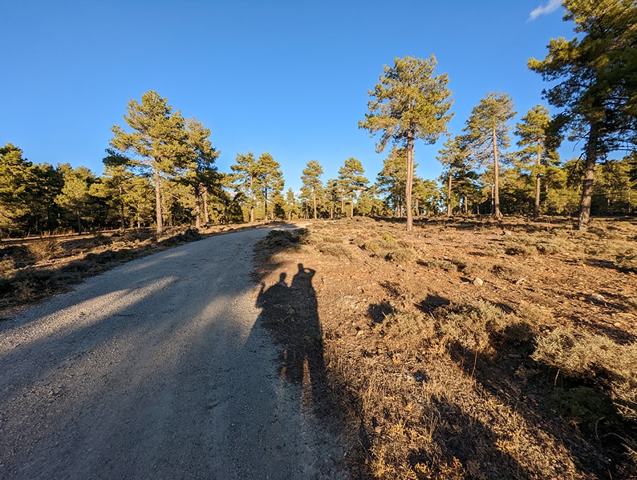 Camino llano en la ida al mirador de Uña 