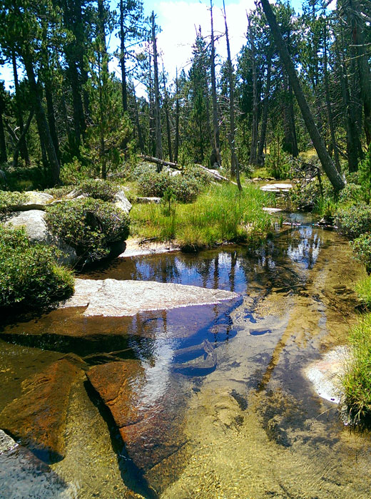 Imágenes del torrente del Orri 