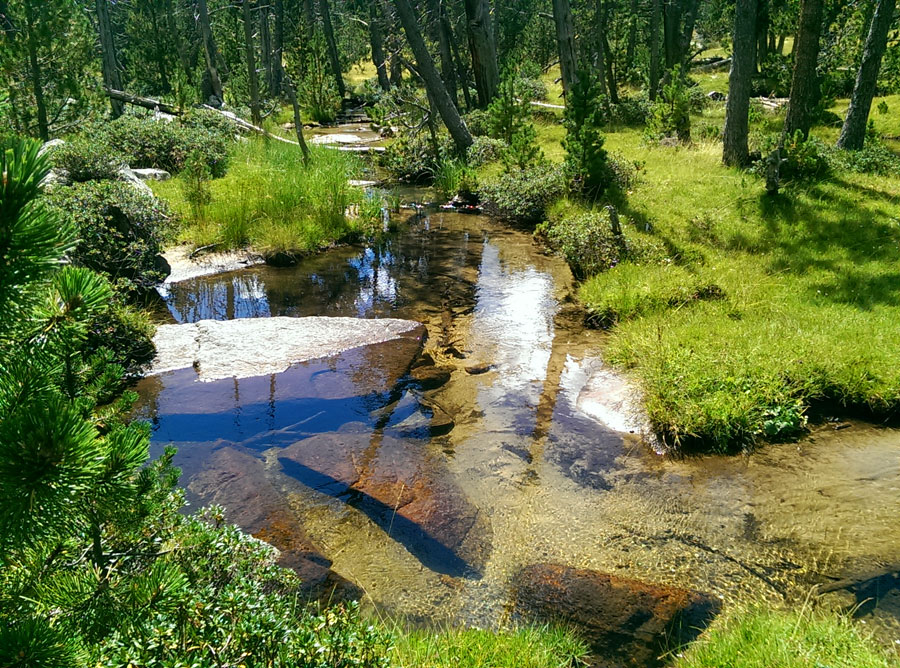 Tranquilos meandros en el torrente del Orri 