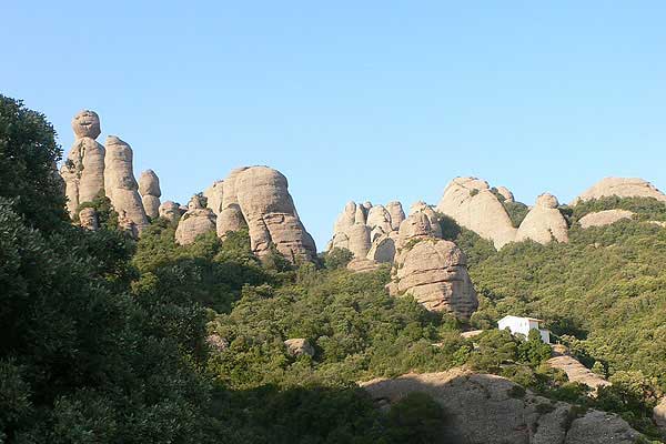La zona del refugio Viçenç Barbé 