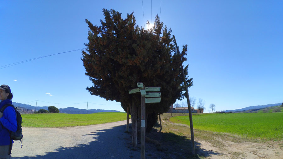 Enlace de caminos (incluido el GR-97-3) -al fondo vemos Can Cònsol- 