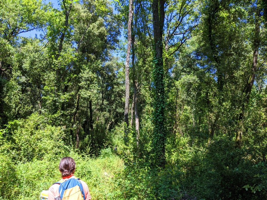Camino de aproximación/regreso poco indicado pero se llega al río
 