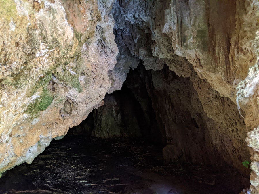 Interior de la cueva de la Torre -medio cerrada con unas rejas- 