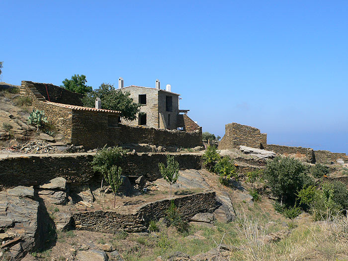Mas d
