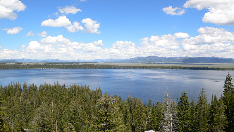 Gran vista sobre el Jenny Lake 