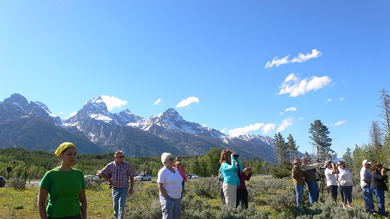 Con los Tetons al fondo dejamos aparcado el coche para hacer un avistamiento 