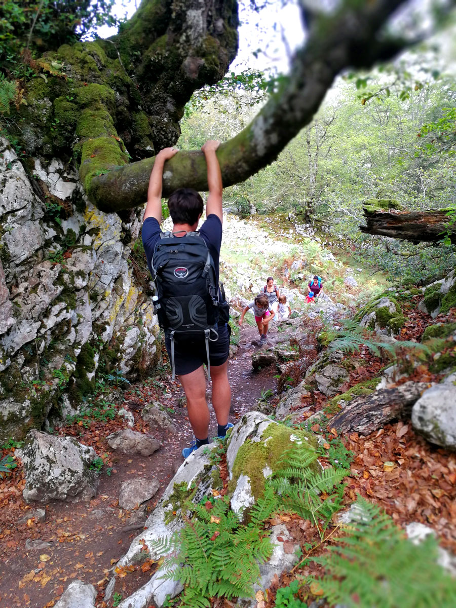 Sube y baja en el bosque de Palomberu 