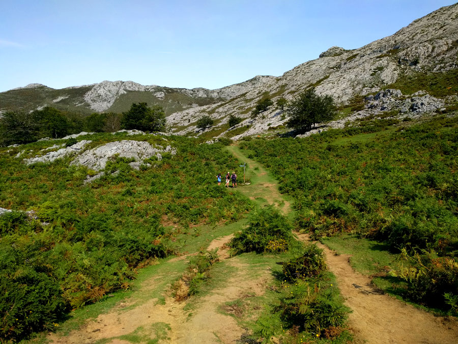 Vista del desvío de caminos 