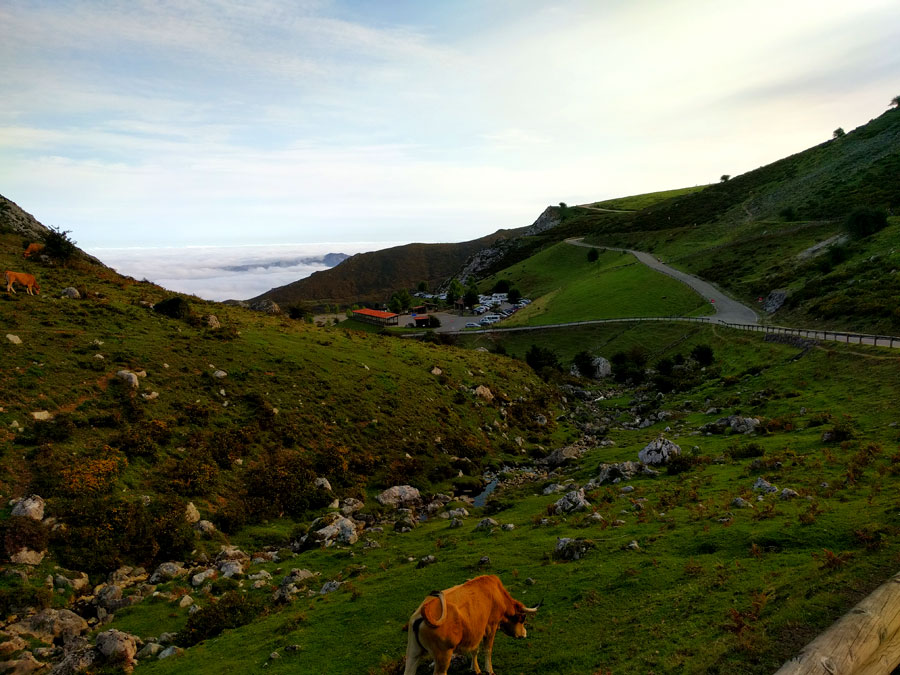 Vista hacia el área de estacionamiento de Buferrera 