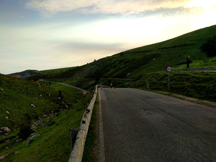 Empezamos a caminar por el lateral de la carretera CO-4 Covadonga-Los Lagos 