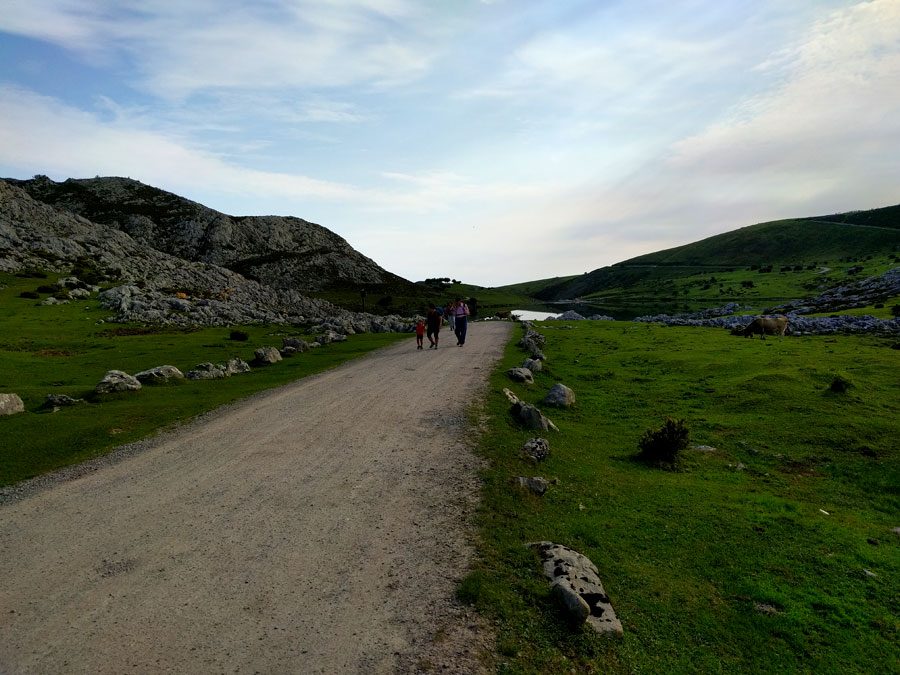 Camino ancho que nos aleja del lago Enol y nos adentramos en la Vega de Enol 