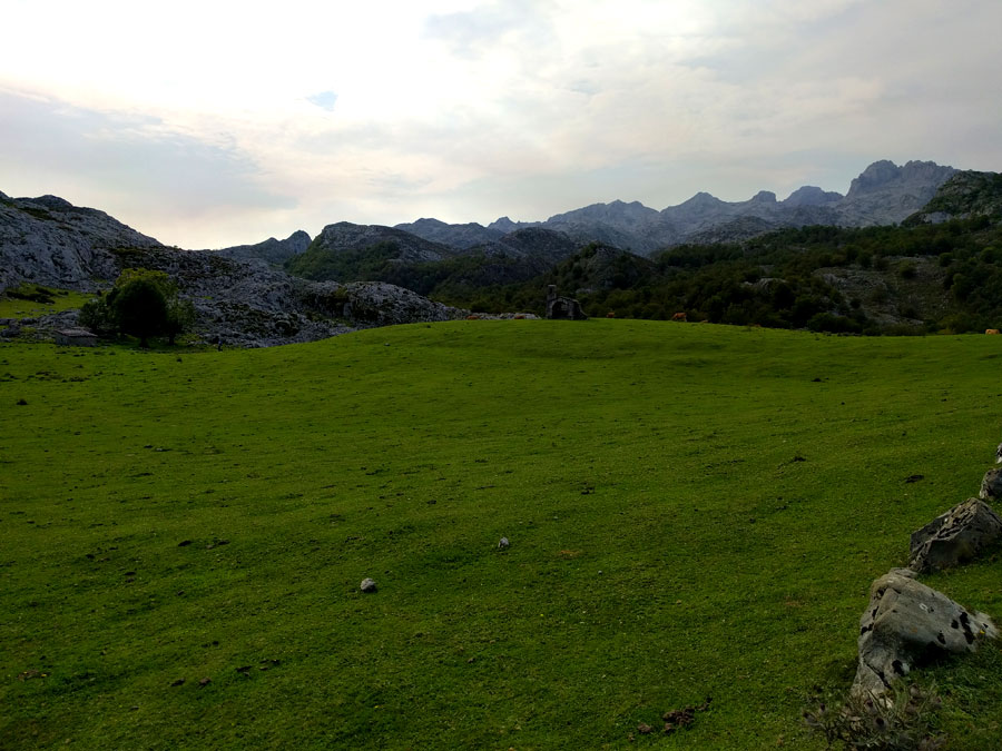 Pardos verdes propios de los Picos de Europa 