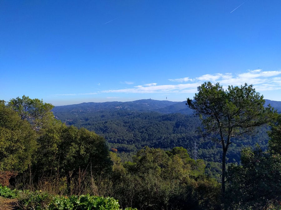 Vistas hacia el Tibidabo desde Puig Madrona 