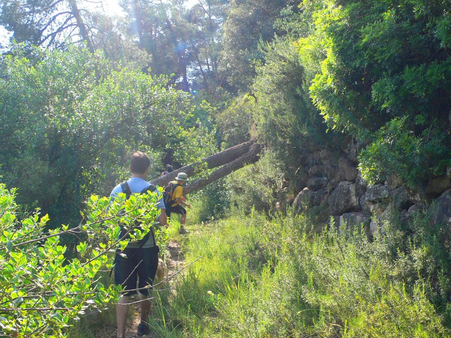 Algunos caminos pueden estar algo cortados por árboles caídos en antiguas tormentas 