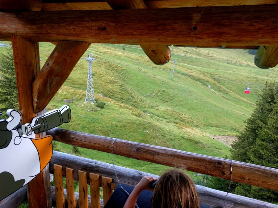 Stop number 7. Marmots lookout. You can actually see quite a few thanks to a pair of binoculars 