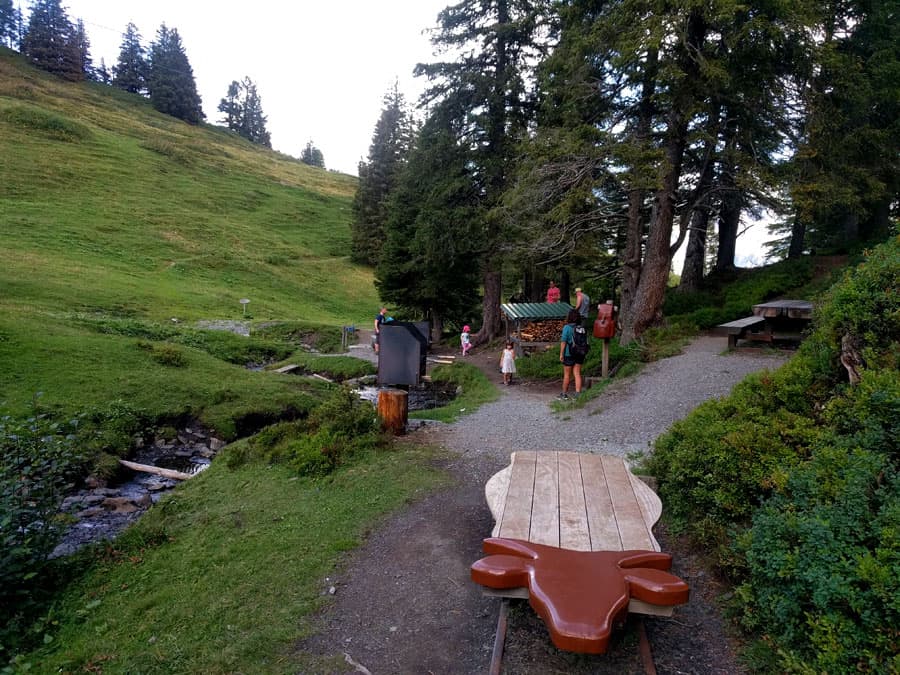 Stop number 8. Picnic area with firewood to have a barbecue 