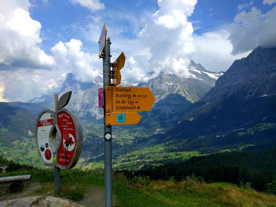 We still have half a route down to finish -you can do it either cutting it short straight on or following the theme path Apple Fritter 