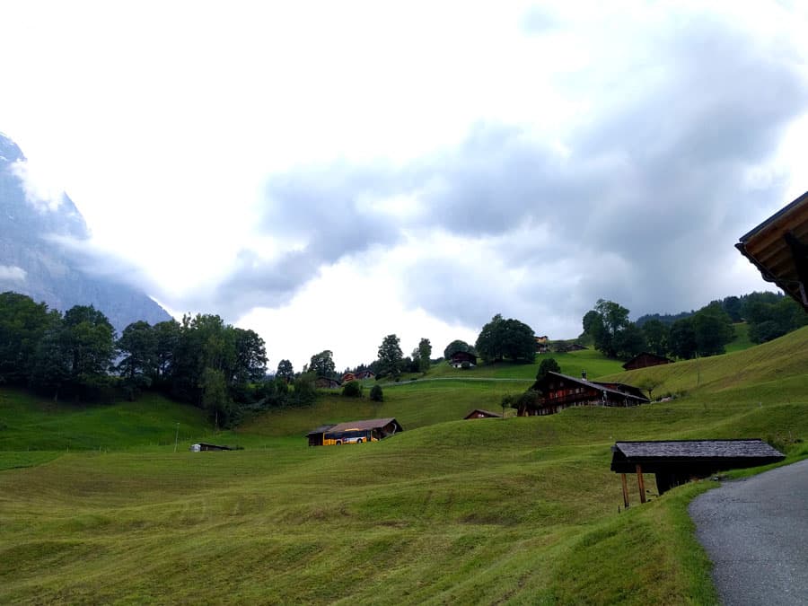 Meadows and houses on our way down to Grindelwald 