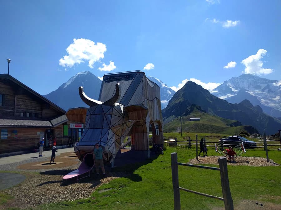 Another view of the cow with Jungfrau and Eiger in the background 