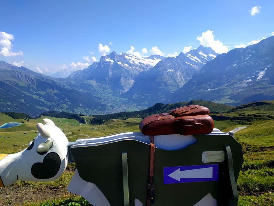 EThe cow’s backpack contains the pegs to solve the sentence letter by letter that’s hidden in the map 