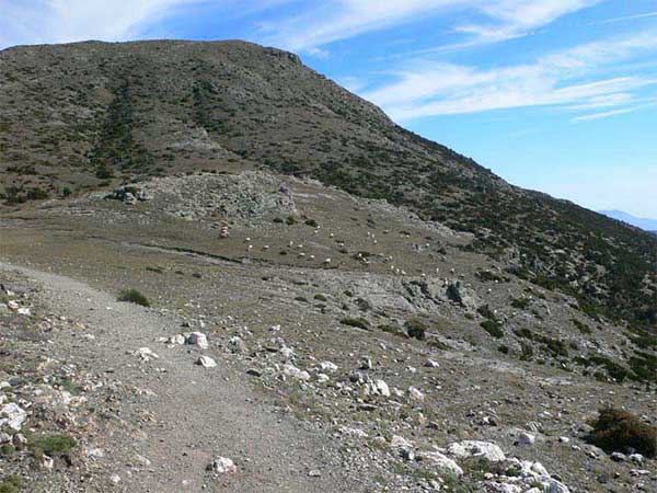 Collformic 1060 metros  inicio del sendero 