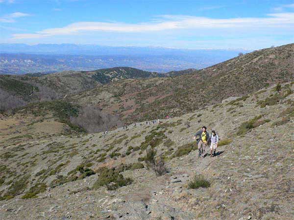 Turó Gos de Santandreu 