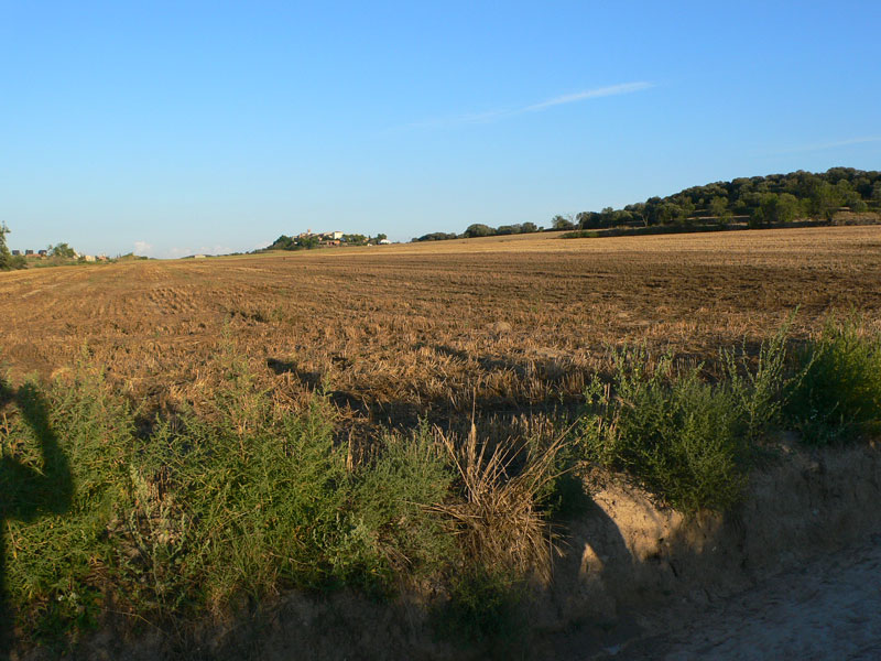 Bellmunt d