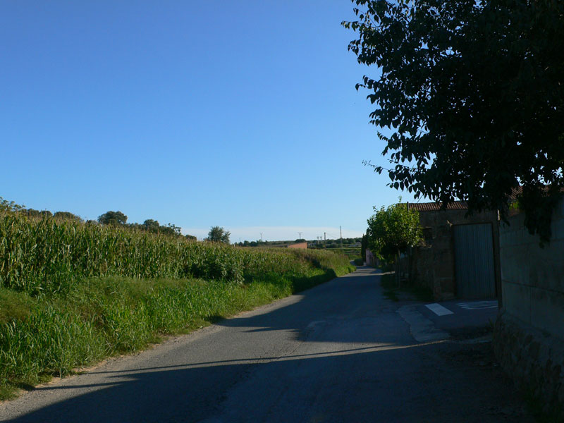 Caminamos junto a campos de maiz 